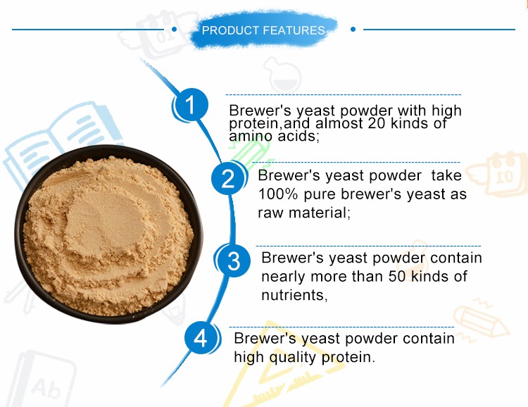 brewer yeast1