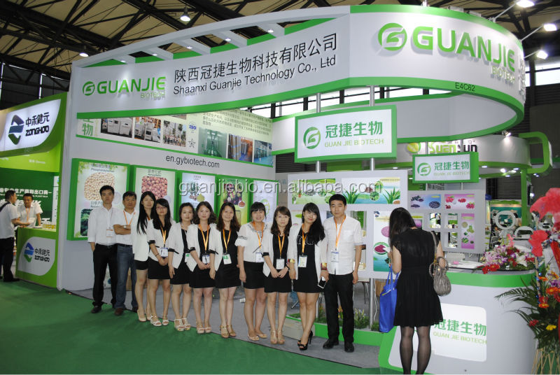 GMP Natural 20% HPLC Cocoa Extract Powder