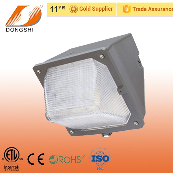 DS-401.jpg