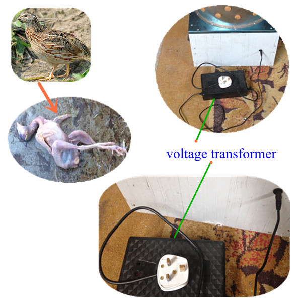 2014 top selling full automatic controller poultry plucking for chicken feet or chicken paw