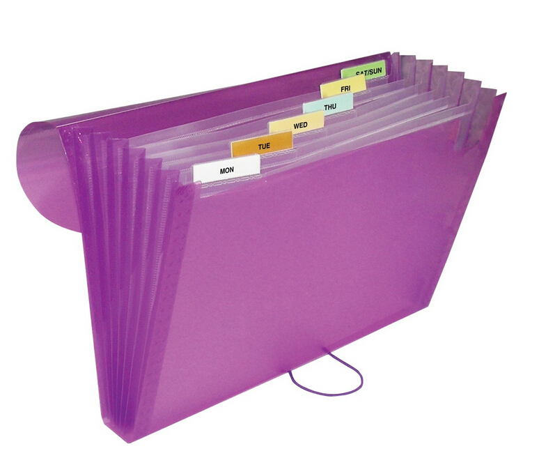 archival quality polypropylene Expanding File.jpg