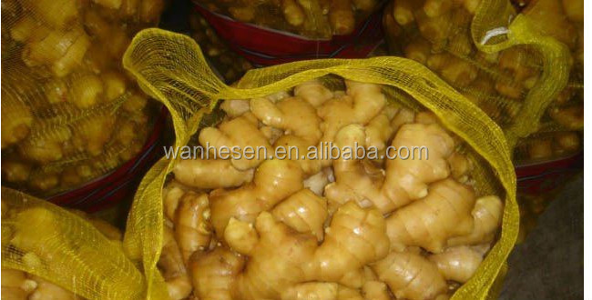 2014 High Quality New Crop Fresh ginger export For UK,CANADA,USA and EU Market 1kg fresh ginger pric