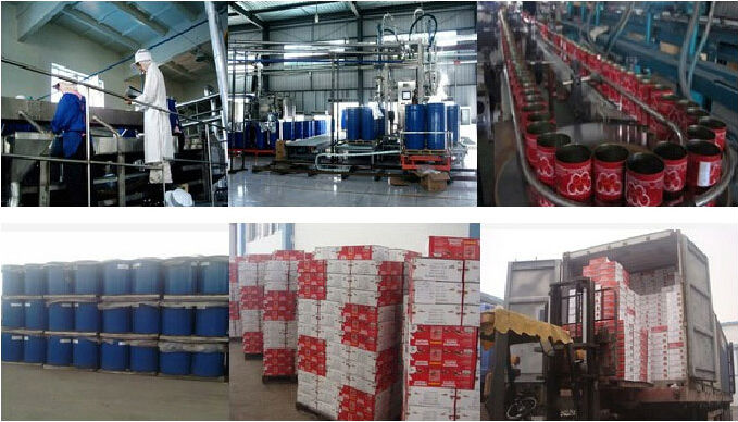 Canned tomato paste 28-30%