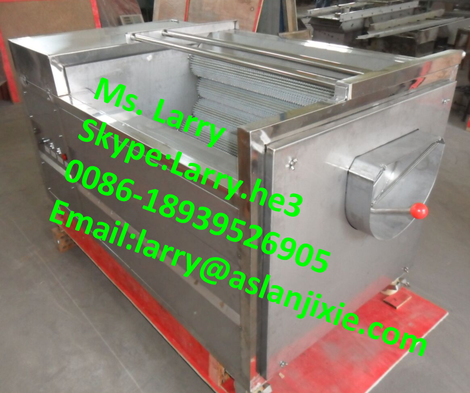 washing and peeling machine10.png