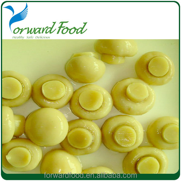 High quality canned button mushroom