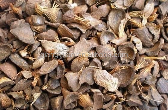 advanced high quality professional desiccated coconut dryer with ISO 9001 certification