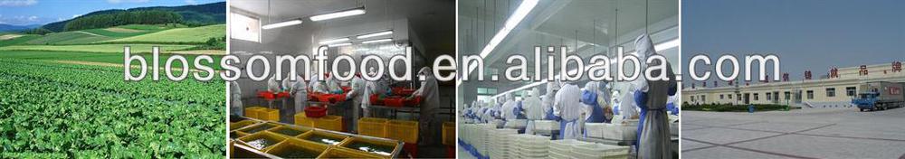 bulk iqf frozen broccoli frozen vegetables green cauliflower