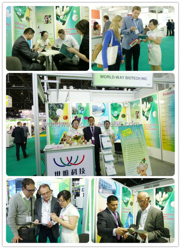 China cocoa extract manufacturer advantage supplement 40% 45% nature antioxidant cocoa polyphenol