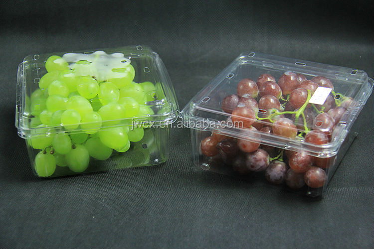 rectangular plastic tray for packing fruit and vegetables