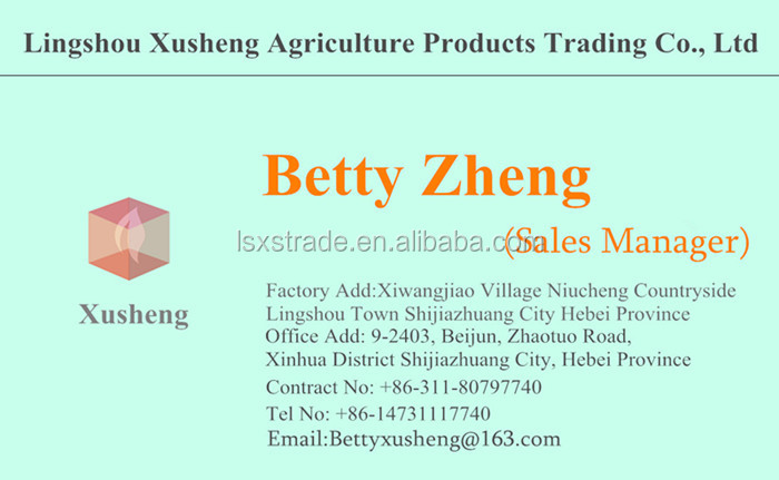 dried shiitake mushroom hot sale(B)