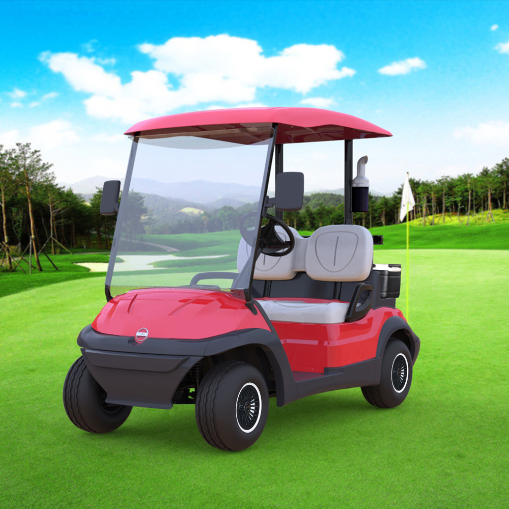 Cheap two seater electric mini golf car LTA627.2