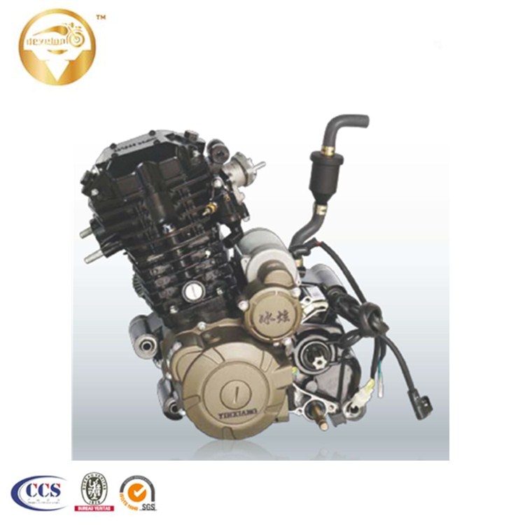 BD310 Tricycle Engine 1.jpg