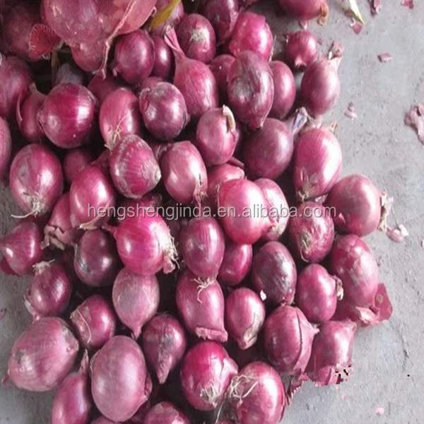 Red onion