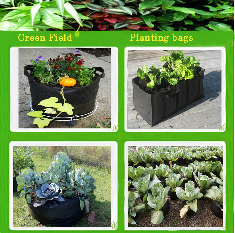 Black Plant Pots With Handle,Recycled Plastic Plant Pots Buy Plastic