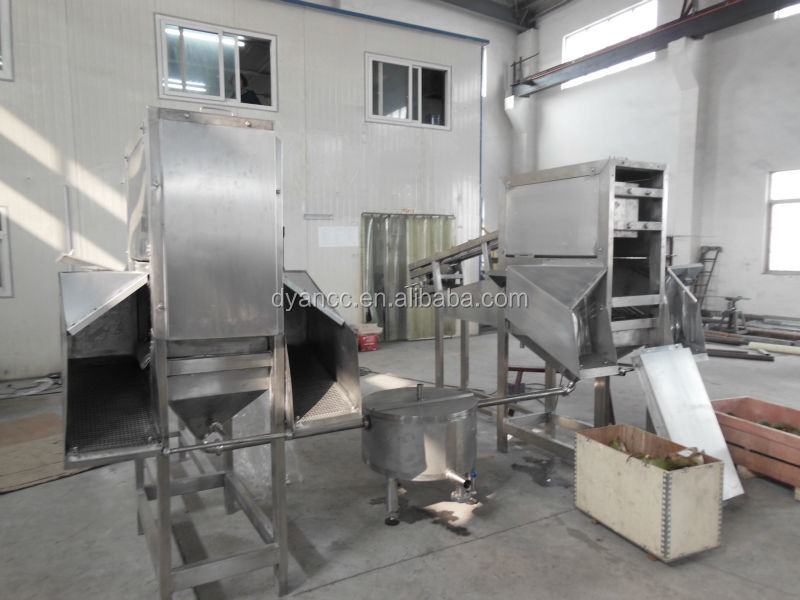 new designed coconut grating machine