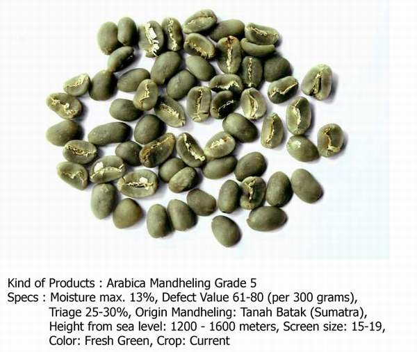 arabica mandheling grade 5 coffee beans buy coffee beans arabica coffee beans arabica mandheling grade 5 coffee beans buy coffee beans arabica coffee beans