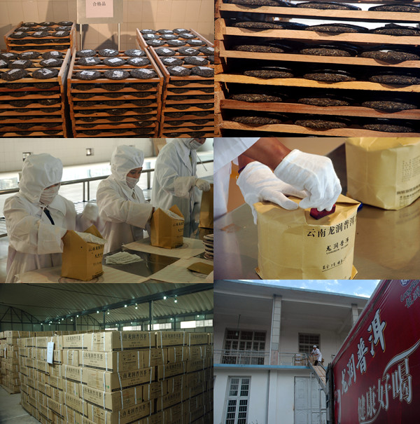 Quality LongRun collectible unfermented Pu-erh tea