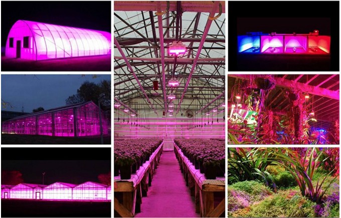 2016卸売hydroponicallyキノコ栽培キットapollo18 led growlight/1000ワットledライトを育てる仕入れ・メーカー・工場