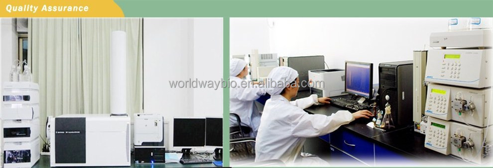 Food grade free sample made in China HACCP KOSHER GMP factory supply 10% piperine black pepper extract