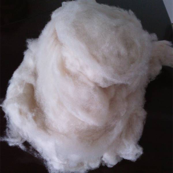 cashmere 10.jpg