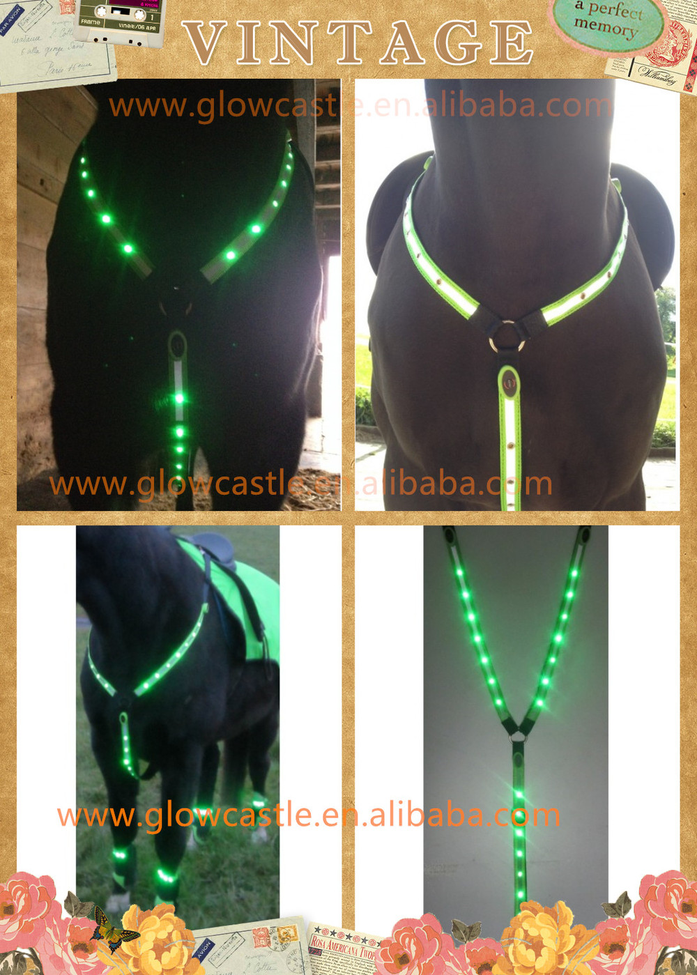 Led Horse Harness (36)_.jpg