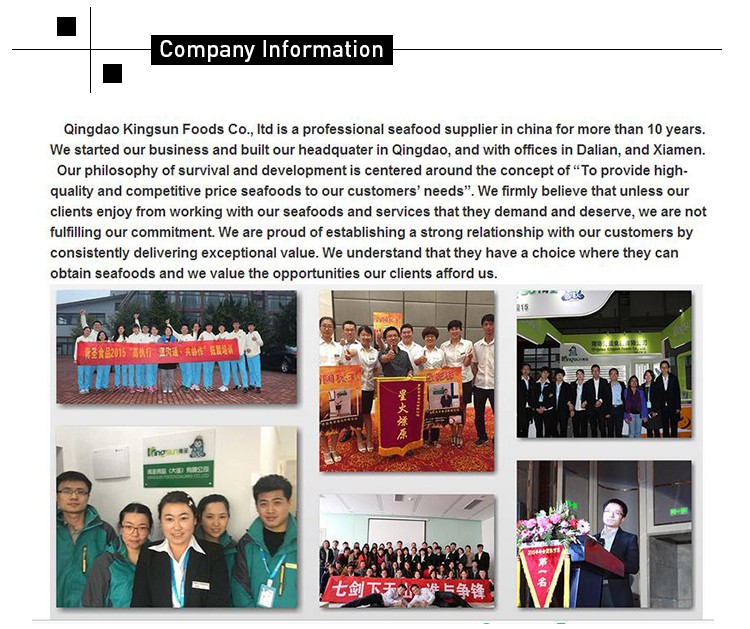 COMPANY INFO.jpg