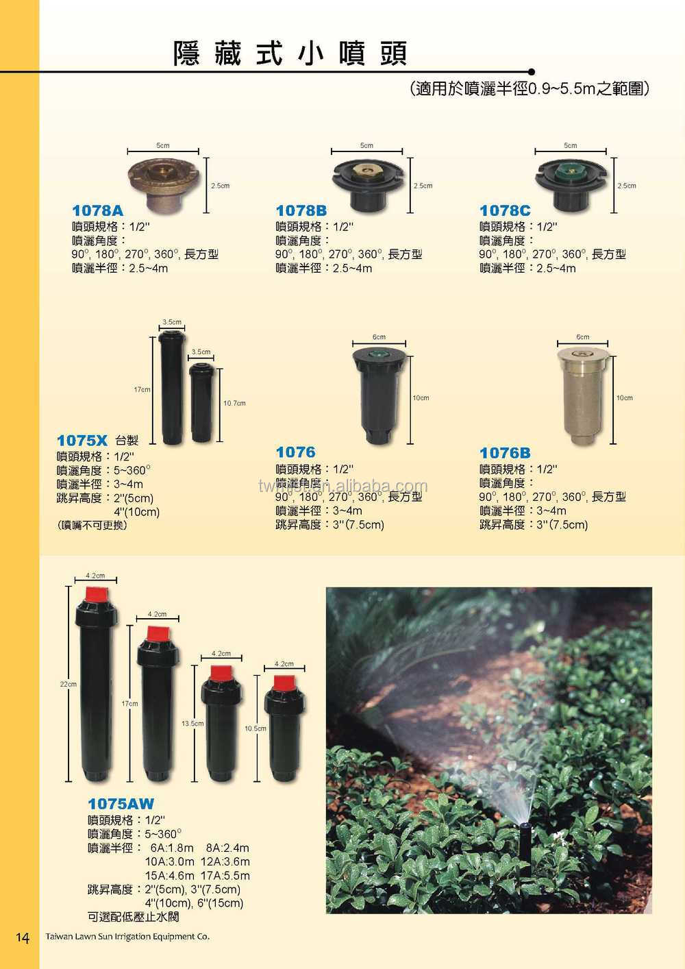 2010()_16.jpg