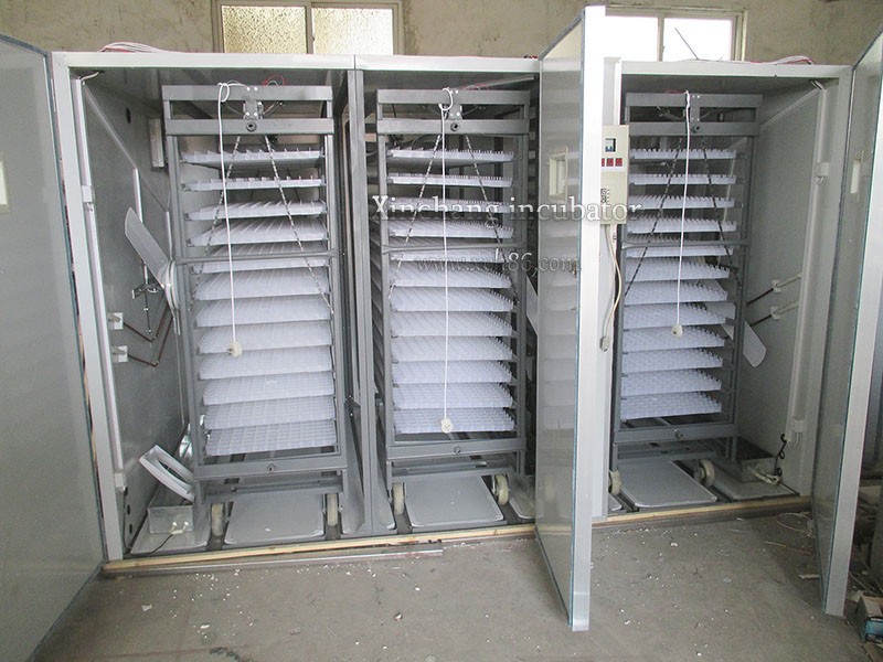 XCH-12672 Chicken Egg Incubator For Sale
