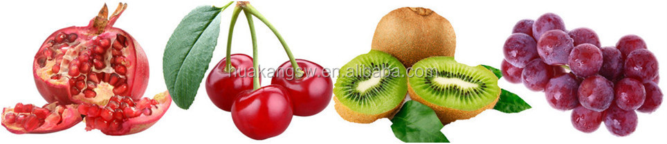 Fruit 3.jpg