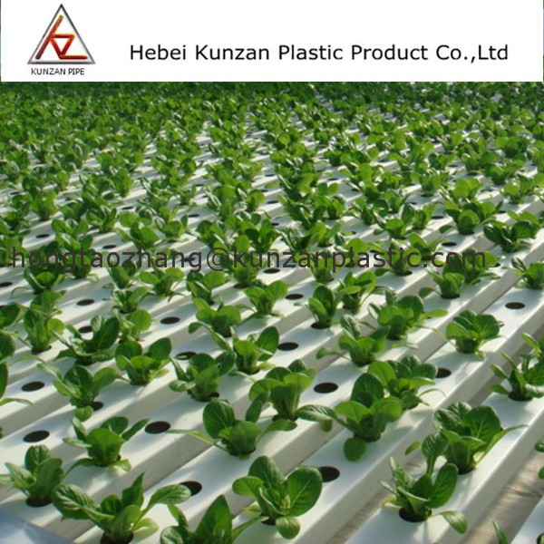 Wholesale Cheap Popular Hydroponic Systems Hydroponic Tube