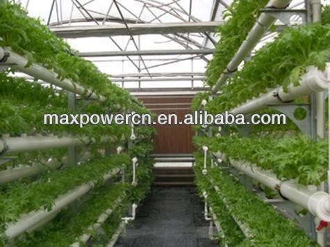 Sistem perdagangan corp greenhouse