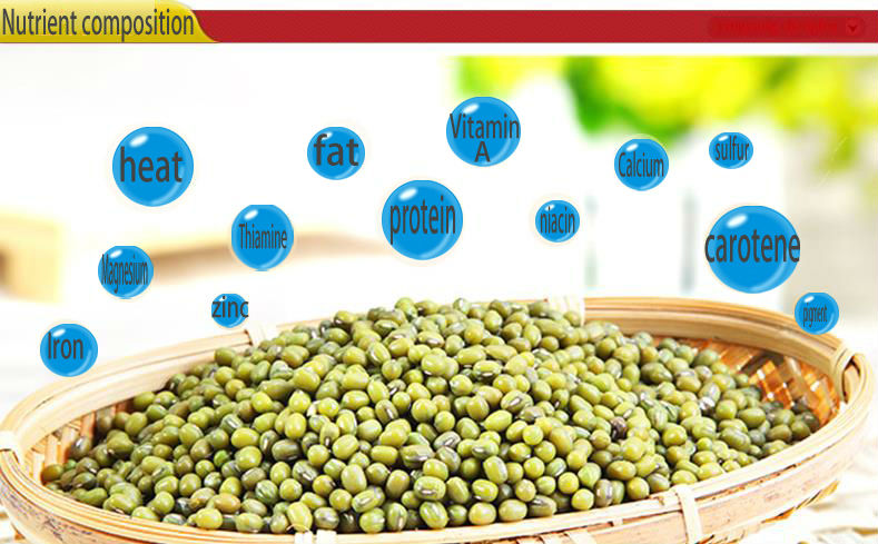 2013 Mung Green Beans for Sprouting with competitive price