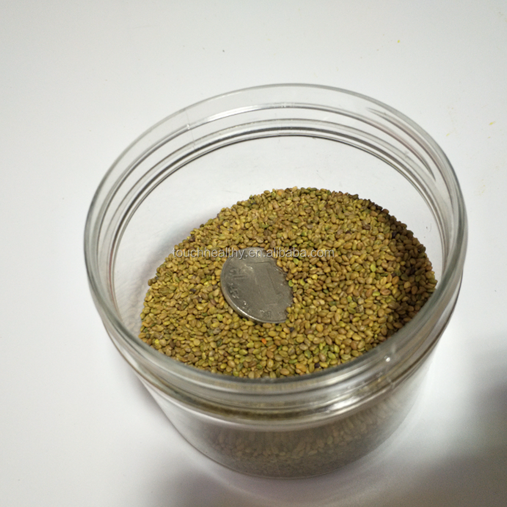forage,basil leaves sweet clover seeds/ daghestan sweet clover seeds/forage grass