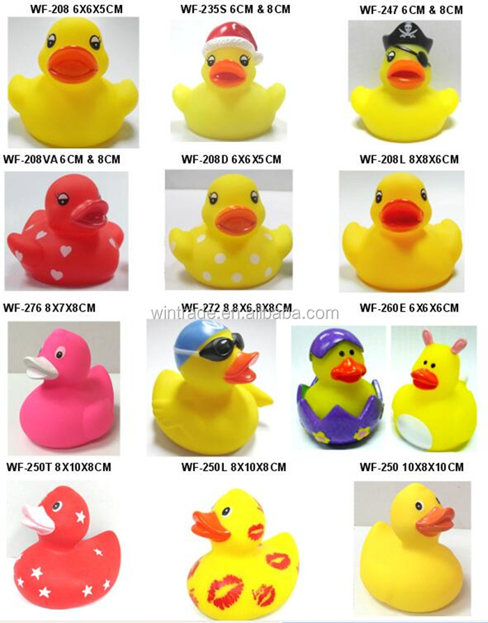 Duck design details.jpg