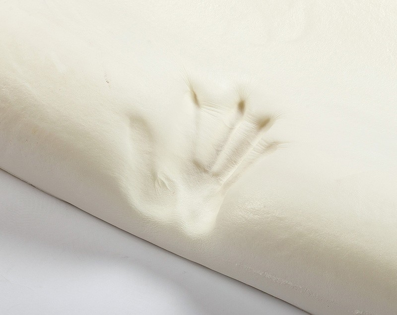 Bamboo Pillow3