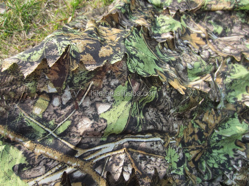 photo of camouflage.jpg