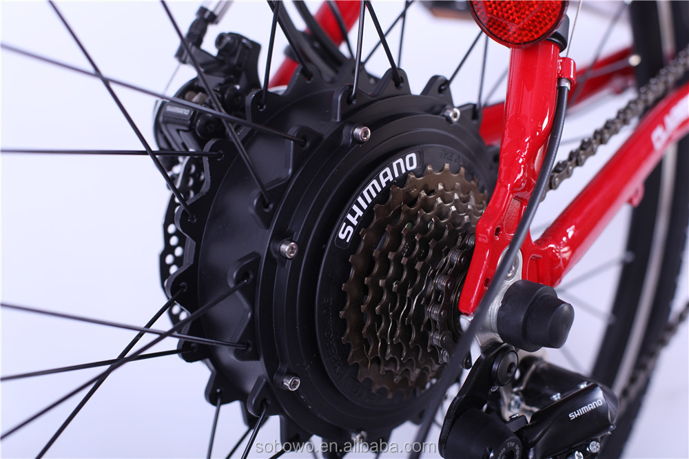 electric bicycle