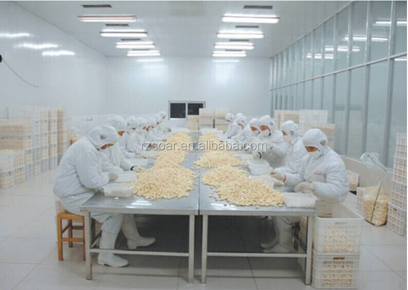 New crop frozen peeled garlic clove