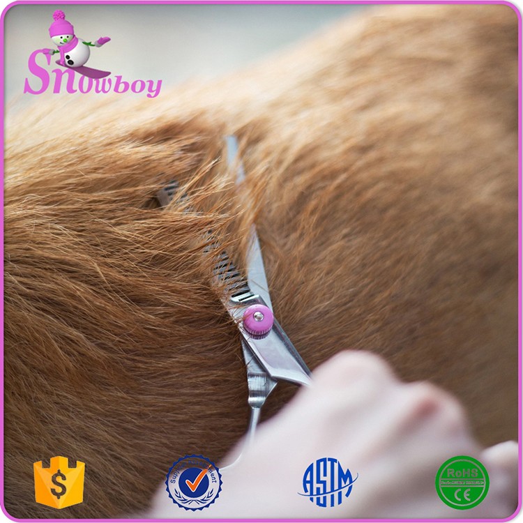 Pet Grooming Scissors Set (4).jpg