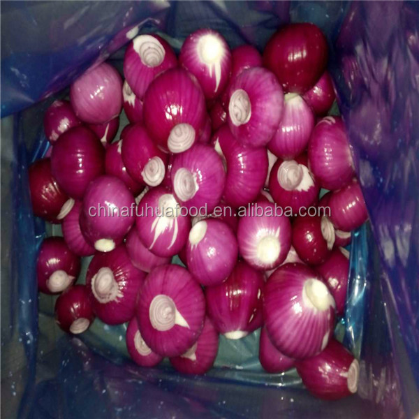 Fresh Onion On Sale