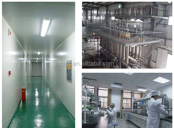 Lowest price and high quanlity of polygonum cuspidatum root extract Giant Knotweed Extract Resveratrol 98% HPLC resveratrol