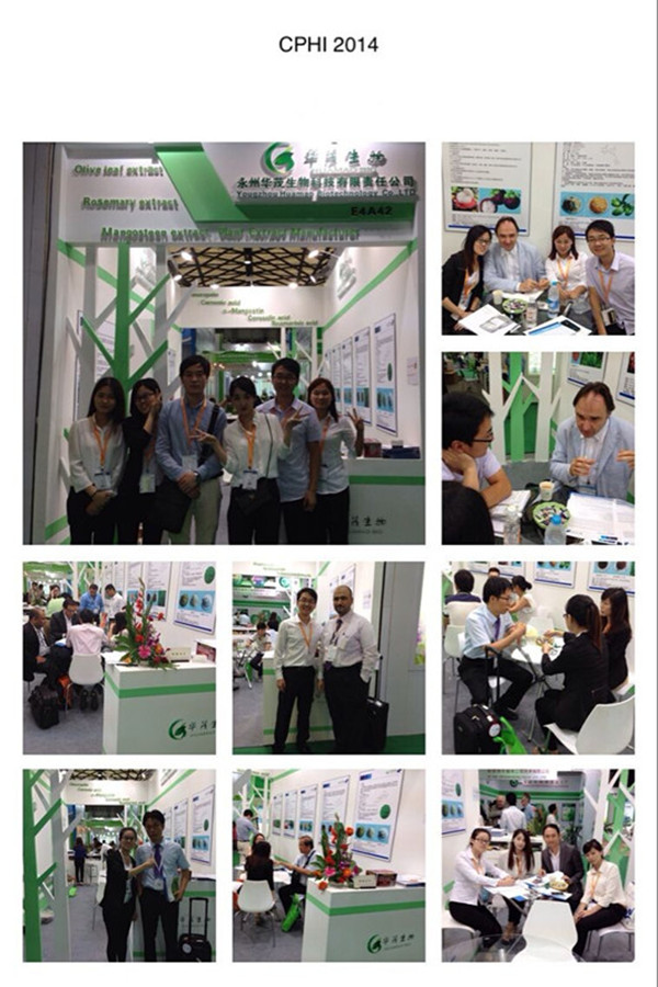 natural EGCG powdder Free Sample Green Tea Extract Powder