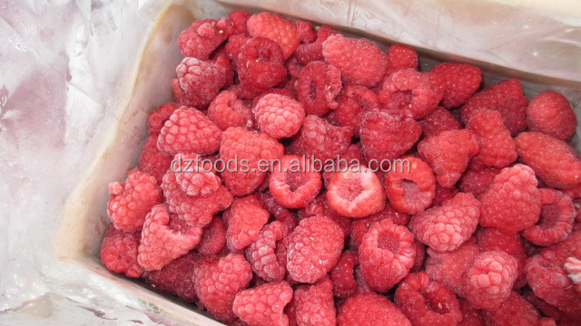 raspberry ketone extract