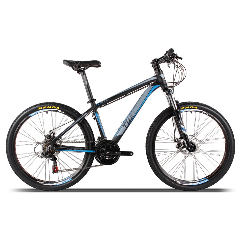 mountain bike low price