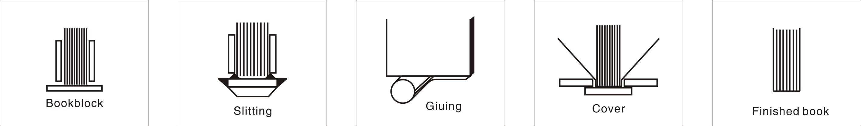 65.jpg
