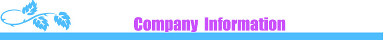company information