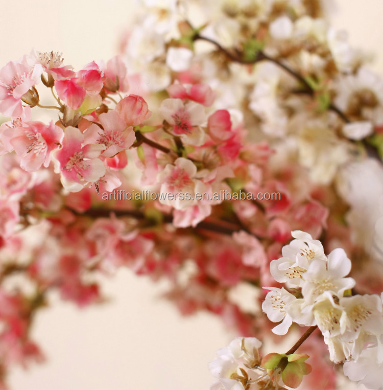 QQ20150727092715.jpg