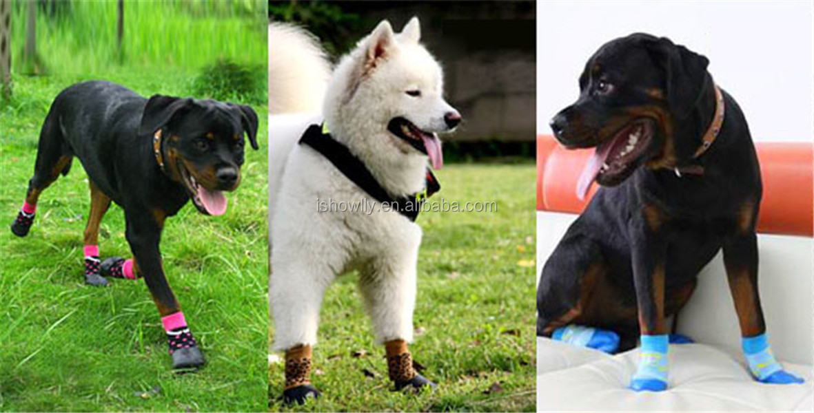 新しいファッションシリコーンゴム2014年犬のペットの靴下/ペット抗- スリップシューソックスブルー色問屋・仕入れ・卸・卸売り