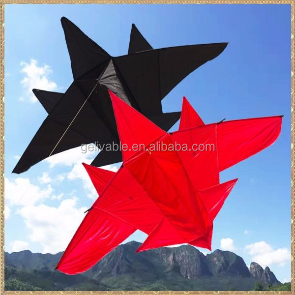 airplane kite .jpg