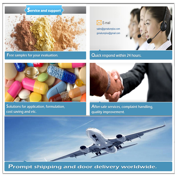 aloe vera dry extract/aloe vera extract powder/Aloe Vera Extract